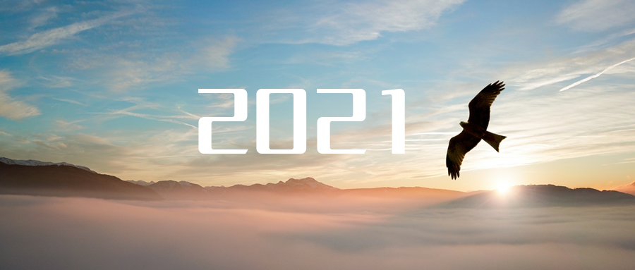 乘“峰”而上，智“盈”未来 ——2021年尊龙凯时环境高级资深副总裁新年开工动员
